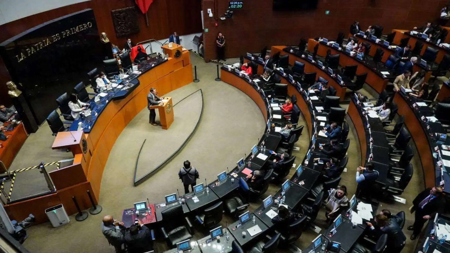 Senado (20)